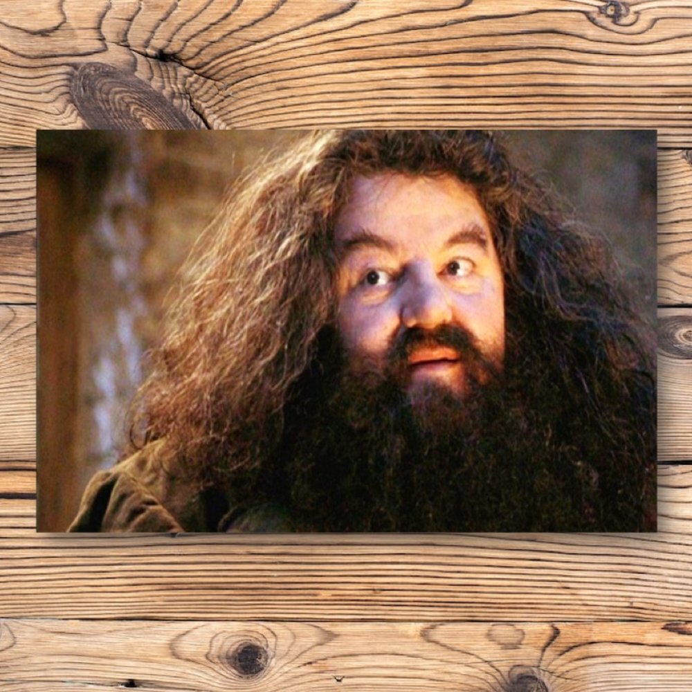 Harry Potter Rubeus Hagrid Refrigerator Locker Fridge Magnet‎